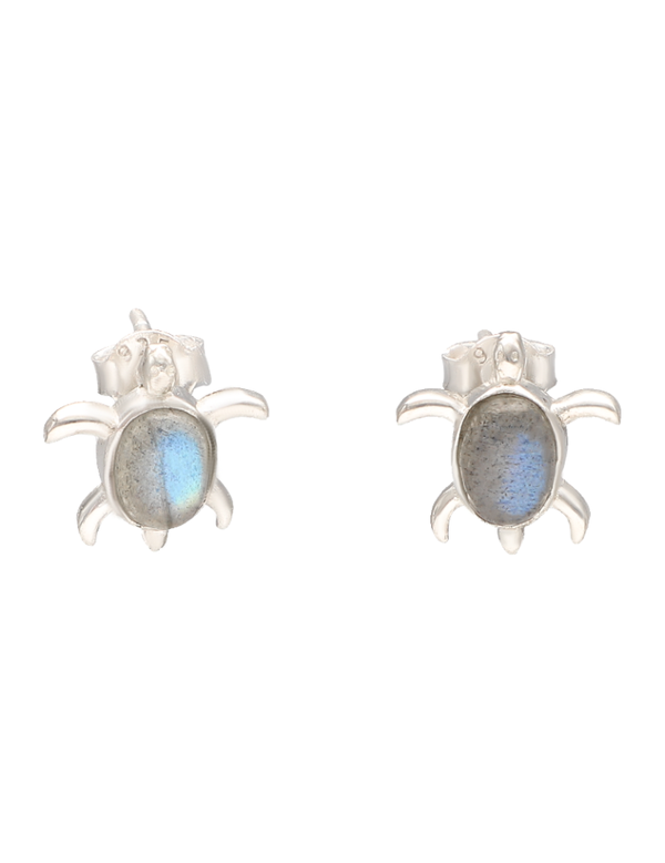 Tortue boucles d'oreilles en argent 925 en labradorite