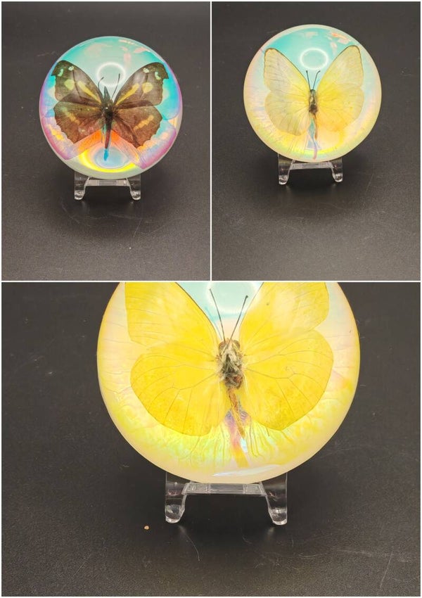 Paper weight butterfly