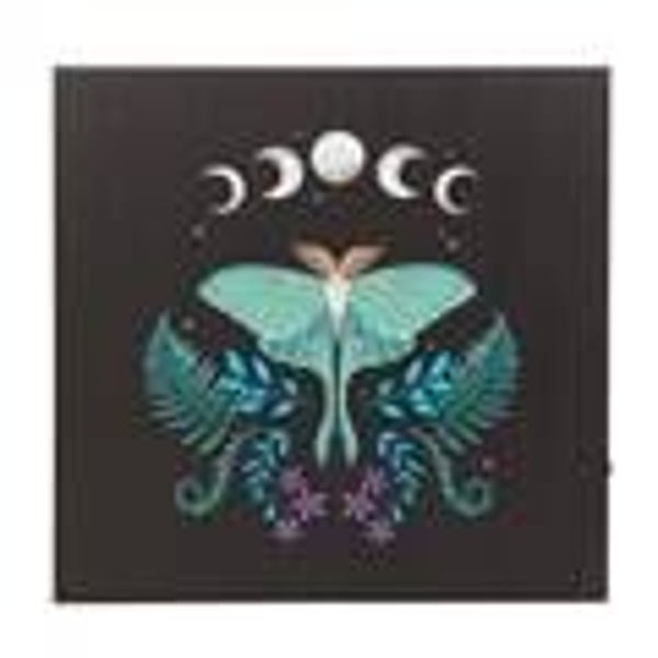 Lunar Moth Light up Canvas Plaque