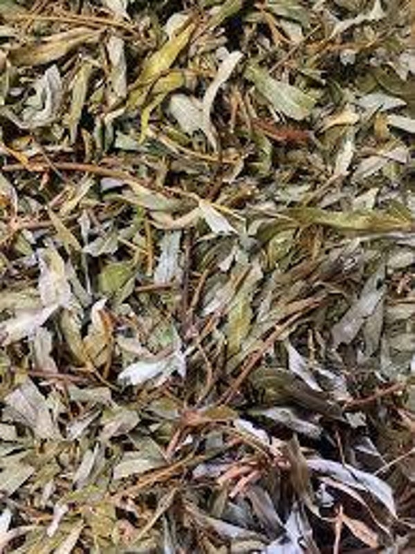 Willow leaves Dried
