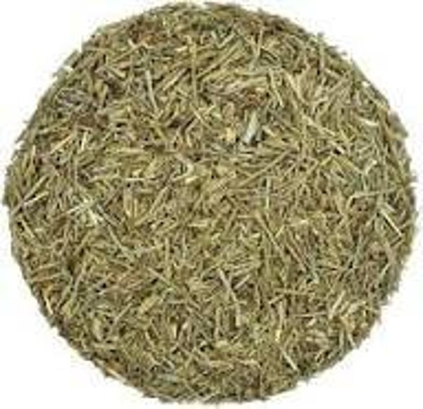 Horsetail Herb