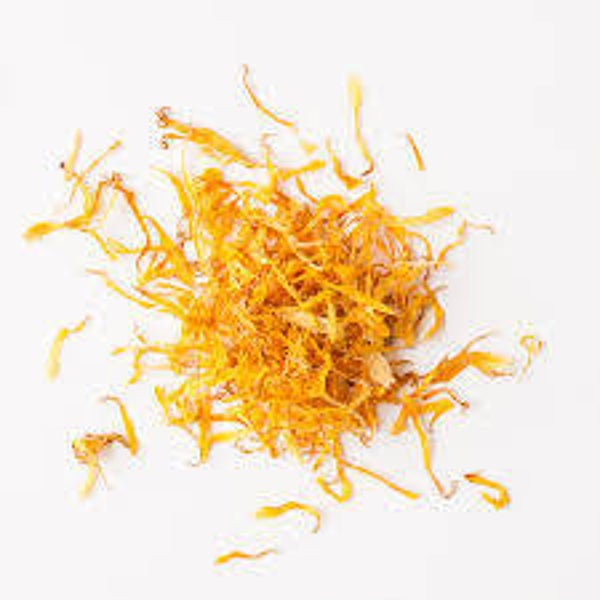 Calendula