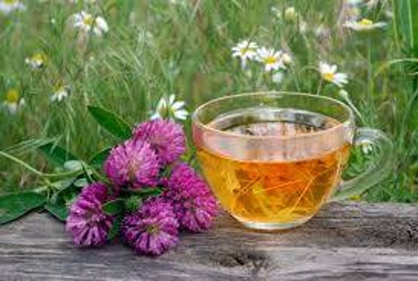 Vital Defence Herbal tea