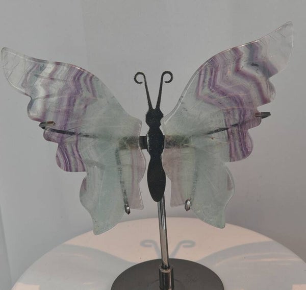 Fluorite Butterfly Wings with black stand