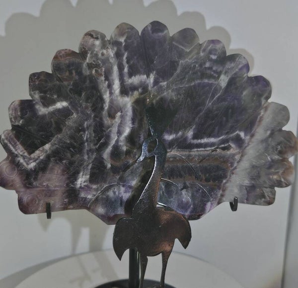 Dream Amethyst Peacock wing with black stand