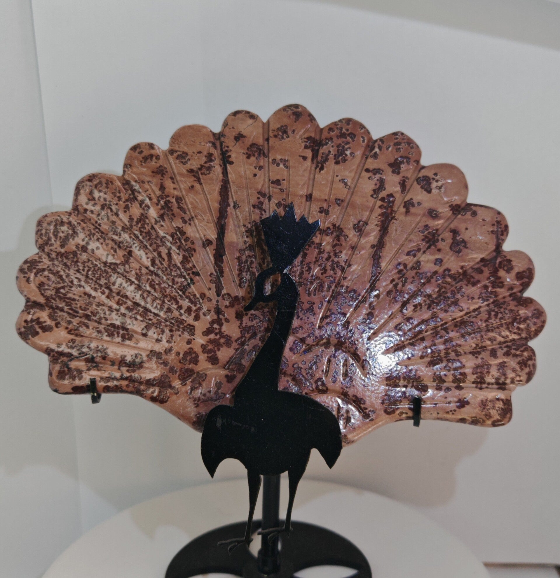 Picture jasper Peacock wing with black stand