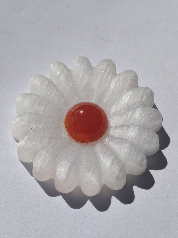 Selenite Flower with Carnelian