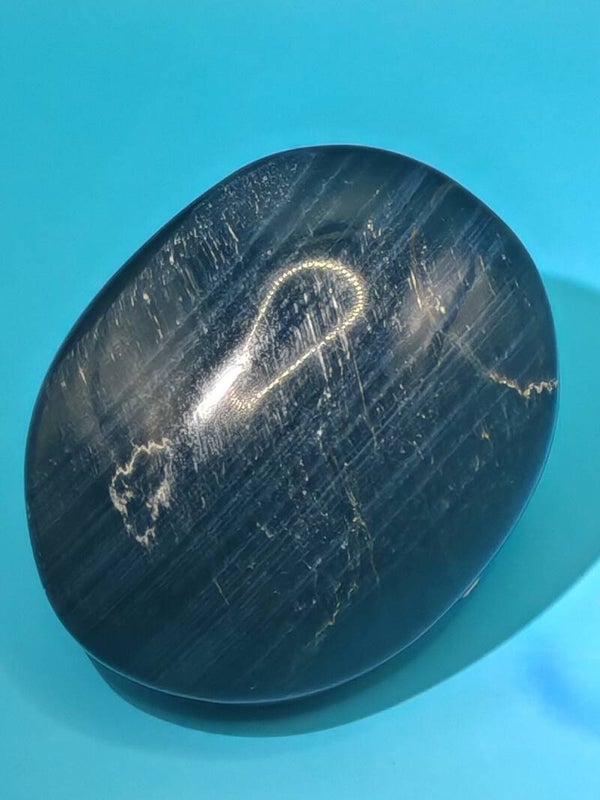 Blue Tigers eye Palm Stone 2