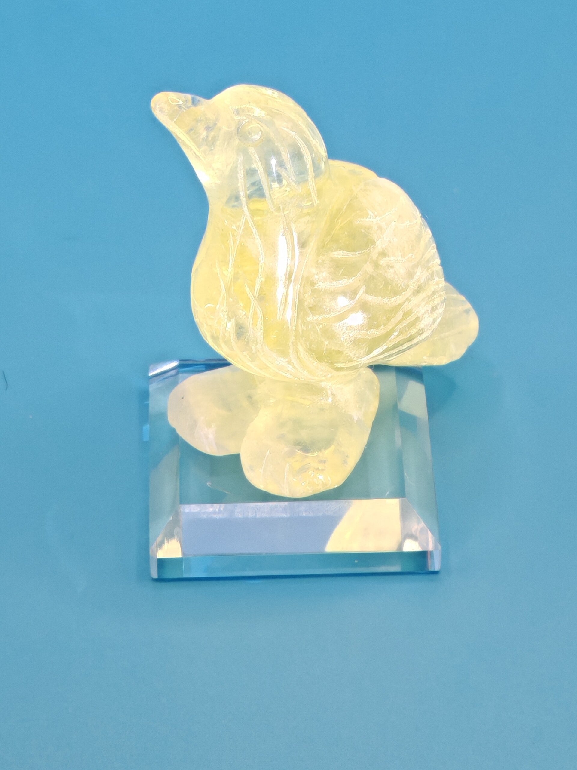 Citrine Bird carving