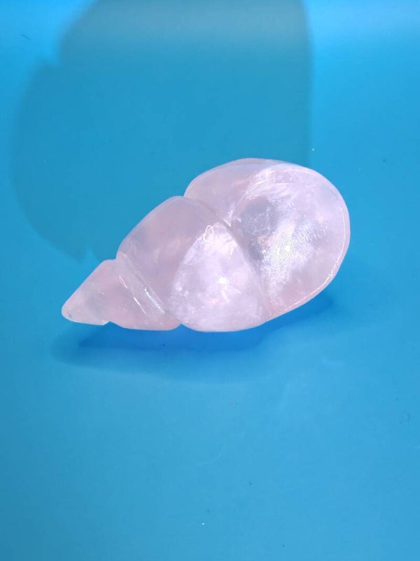 Rose Quartz Sea Shell