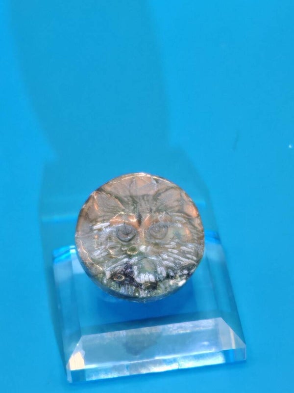 Labradorite Cat Coin