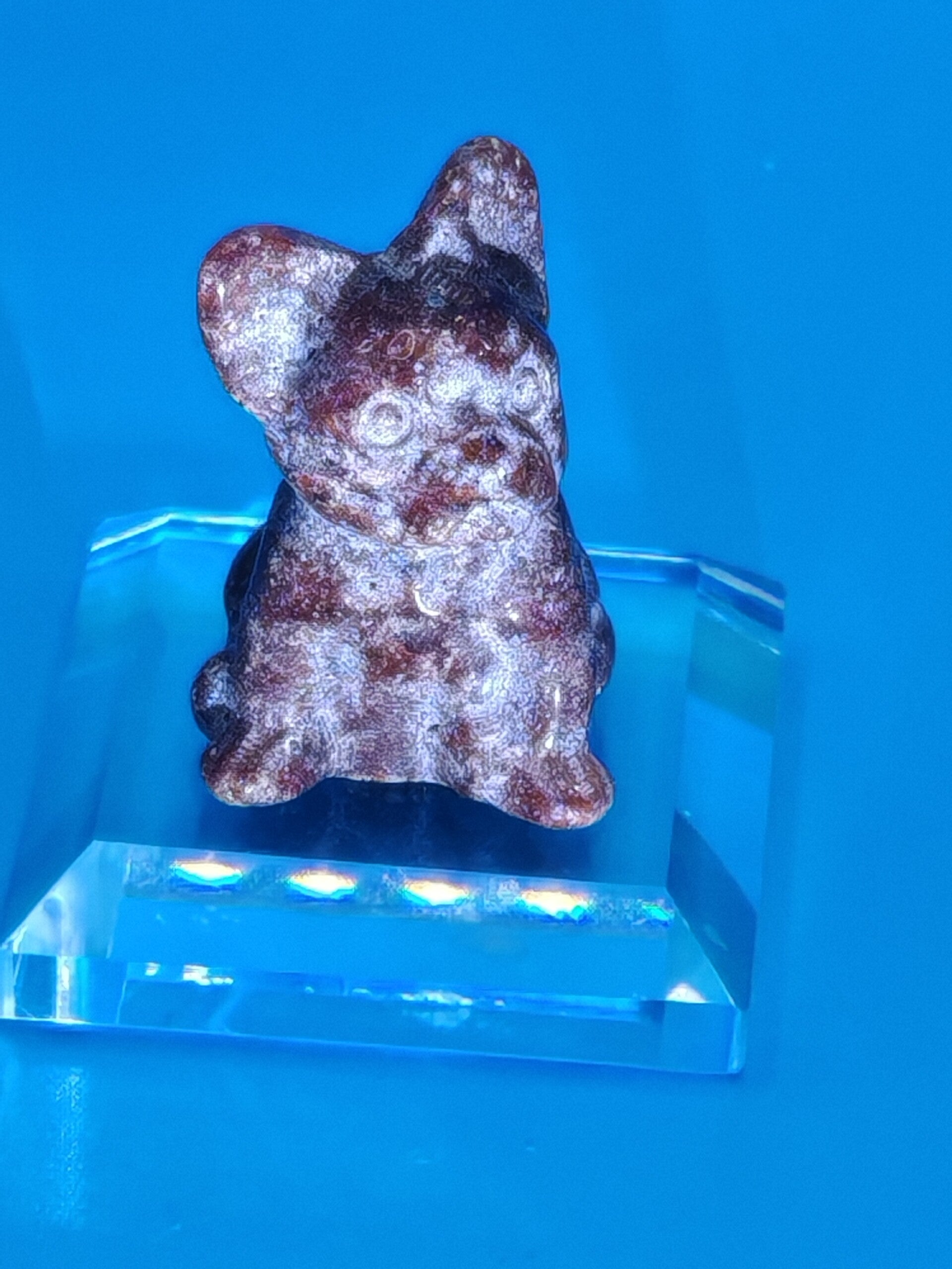 Garnet French Bulldog