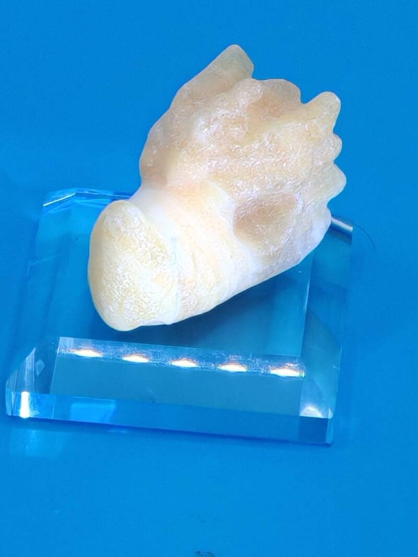 Orange Calcite Dragon Head 2