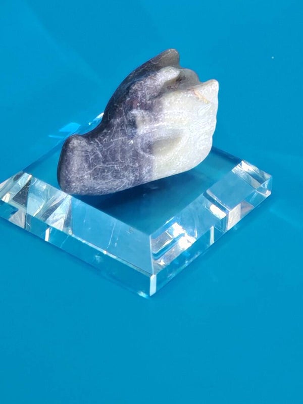 Taiji Stone Dragon Head
