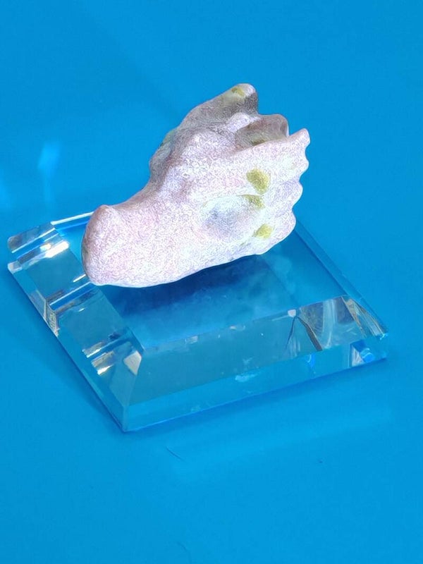 Pink Tourmaline Dragon Head