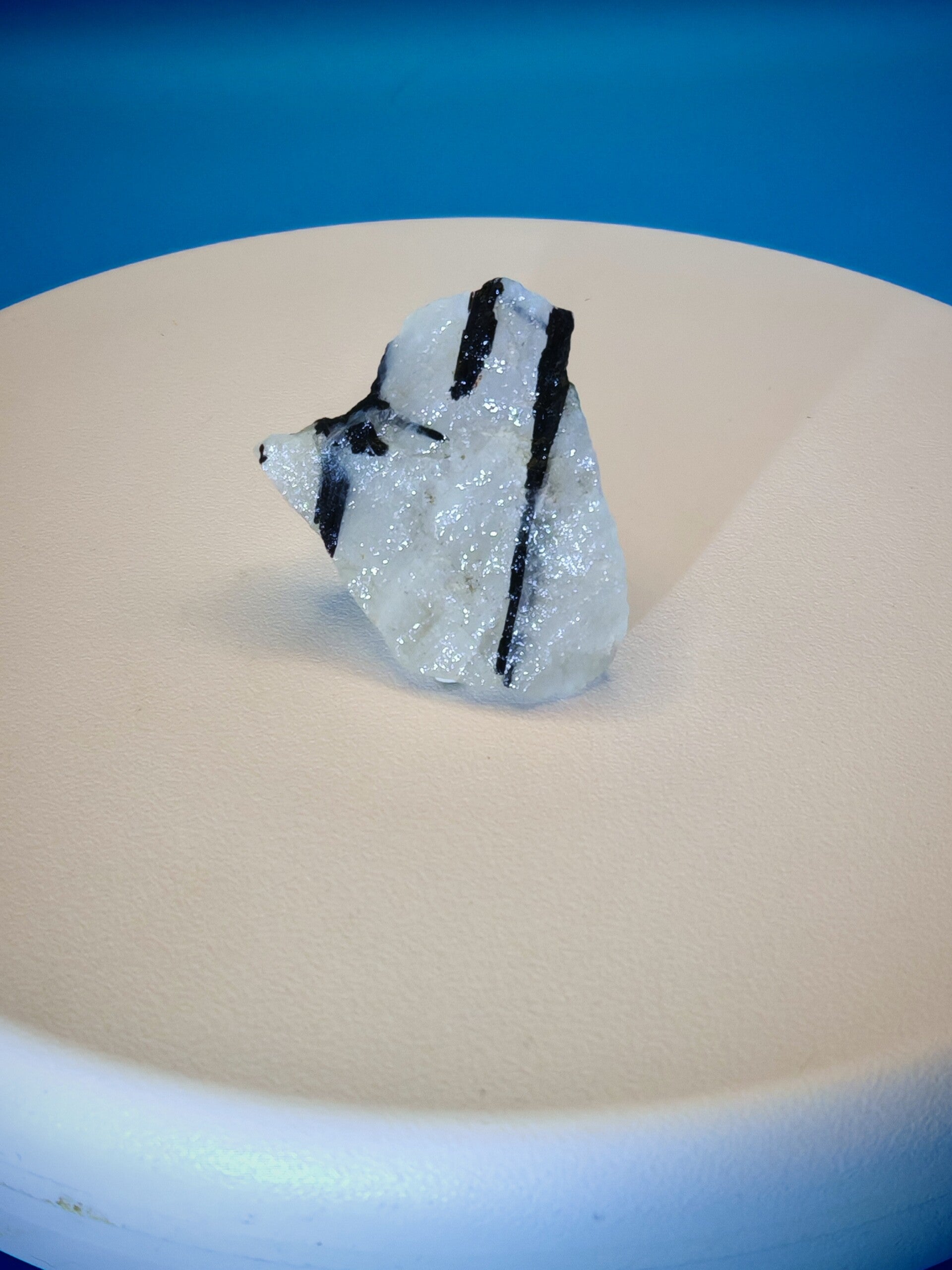 Black Tourmaline in Snow Quartz Specimen