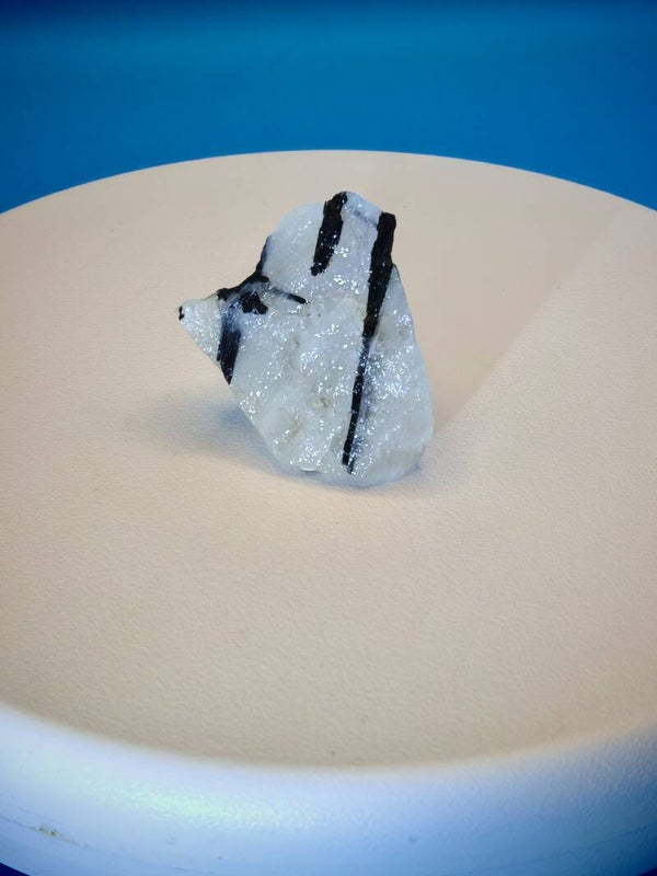 Black Tourmaline in Snow Quartz Specimen