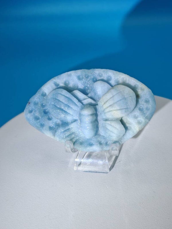 Blue Opal Butterfly