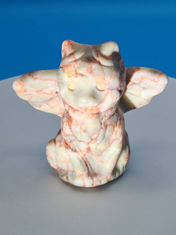 Red Veined Jasper winged Cat