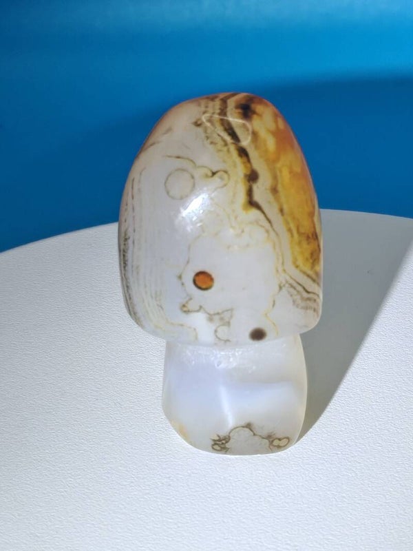 Sardonyx Mushroom