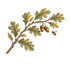Oak &amp; Honey