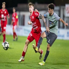 alexander-weinstabl-standard.jpg