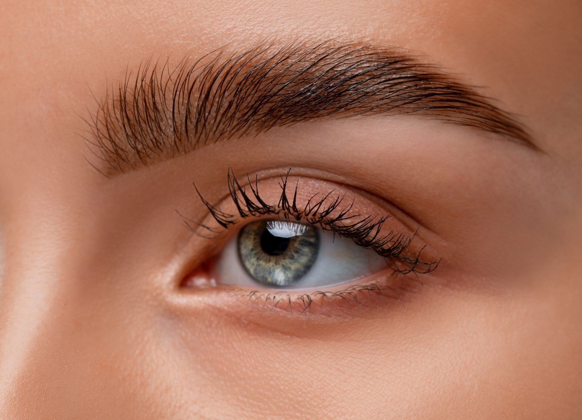 eye brow wax & tint online course