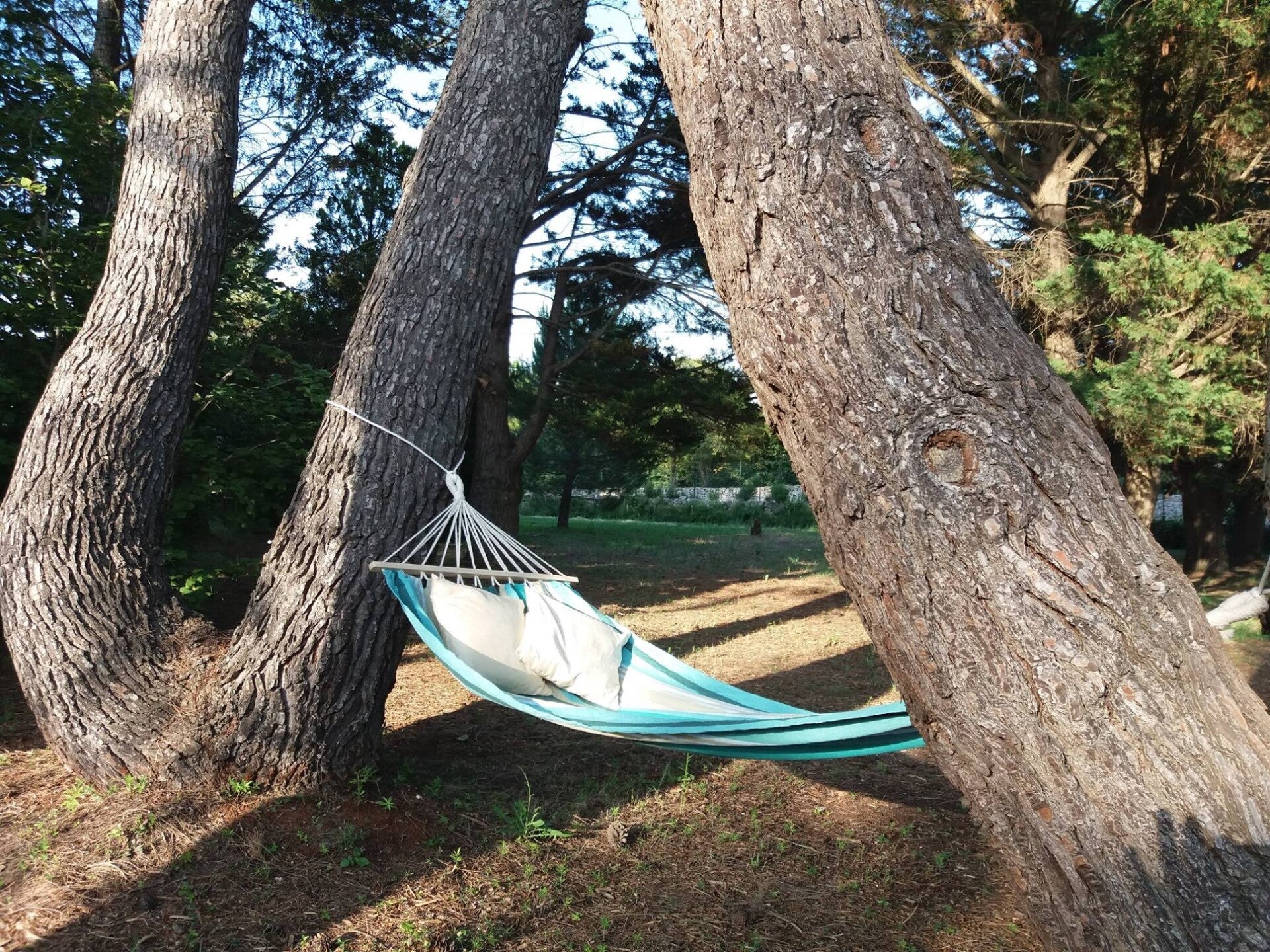 Amaca sospesa per momenti di relax nella natura