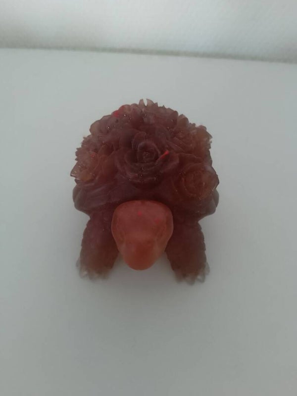 Petit tortue
