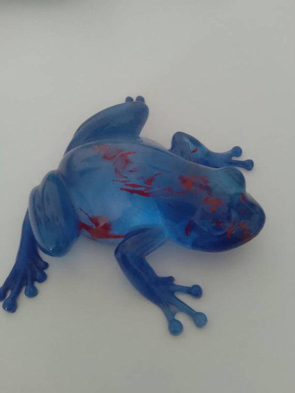 Grenouille 🐸