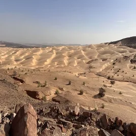 128-mauritanie-standard-dlhqij.webp