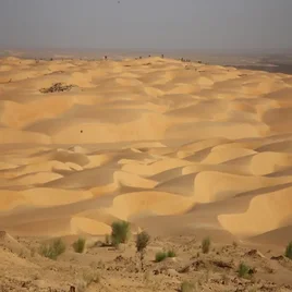 130-mauritanie-standard-4zwv17.webp