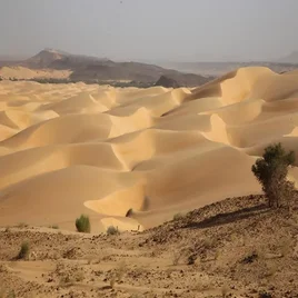 133-mauritanie-standard.webp