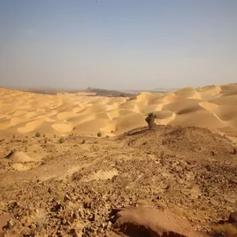 134-mauritanie-standard.webp