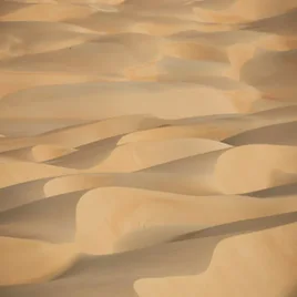 143-mauritanie-standard.webp
