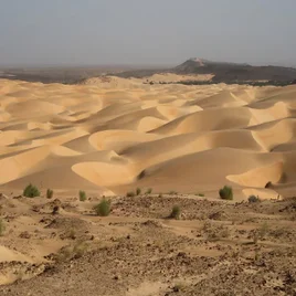 144-mauritanie-standard.webp