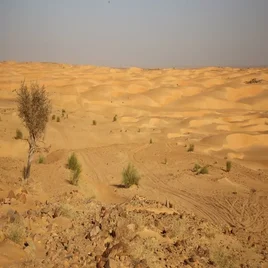 163-mauritanie-standard.webp