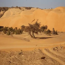 165-mauritanie-standard.webp