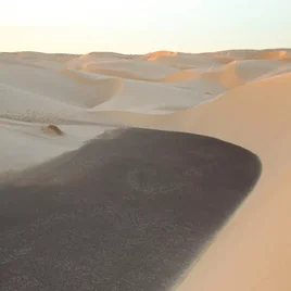 397-mauritanie-standard.webp