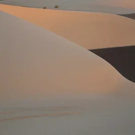 402-mauritanie-standard.webp