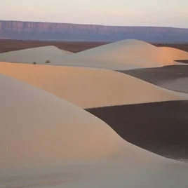 403-mauritanie-standard-h440bw.webp