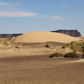 425-mauritanie-standard.webp