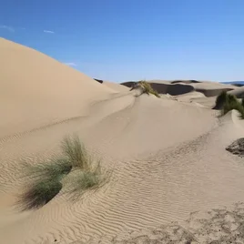 426-mauritanie-standard-3yxduc.webp