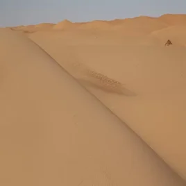433-mauritanie-standard-c44ypx.webp