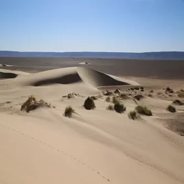 435-mauritanie-standard.webp