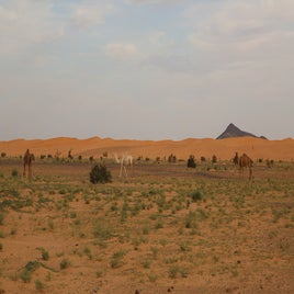 mauritanie-adrar-desert-standard-roikc1.jpg