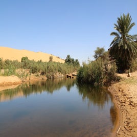 mauritanie-adrar-mare-standard.jpg