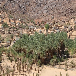 mauritanie-adrar-oasis-mheirth-standard.jpg