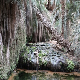 mauritanie-adrar-oasis-terjit-standard.jpg