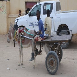 mauritanie-adrar-transport-standard.jpg